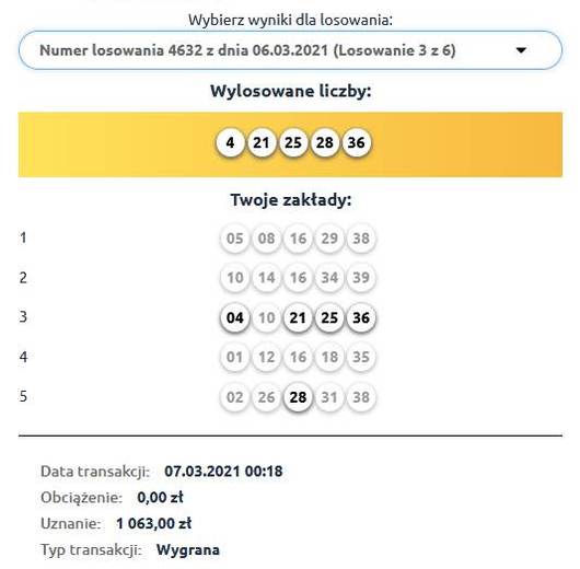 Winning Poland Mini Lotto online ticket